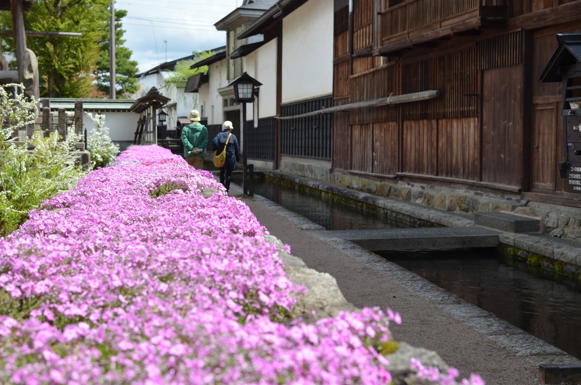 ここだけはおさえておきたい！飛騨古川の定番観光スポット